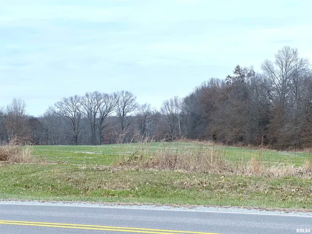 $550,000 | 20 Mt Pisgah Road, Buncombe, IL 62912