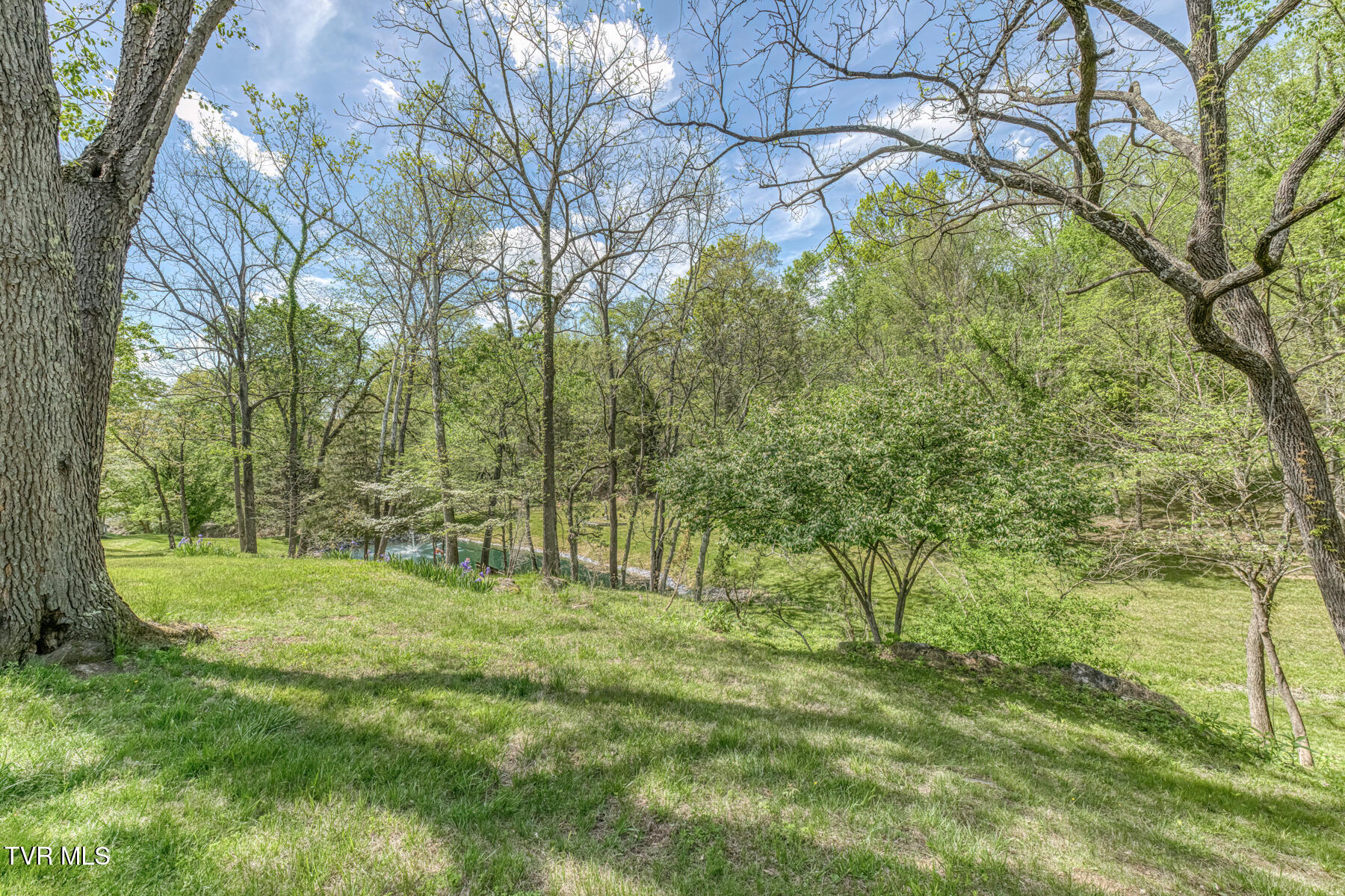 255 Willmary Road Piney Flats, TN 37686 - Photo 136 of 161 255 Willmary Rd-232