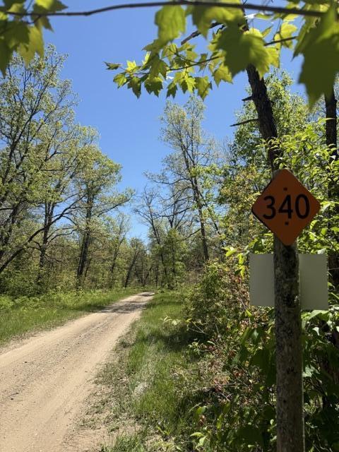 Parcel B West Usfs 5196 Baldwin, MI 49304 - Photo 2 of 6
