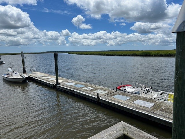 1057 Shell Point Road Townsend, GA 31331 - Photo 23 of 26