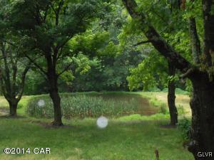213 Andreas Road Andreas, PA 18211 - Photo 4 of 5 pond