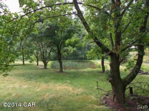 213 Andreas Road Andreas, PA 18211 - Photo 5 of 5 pond