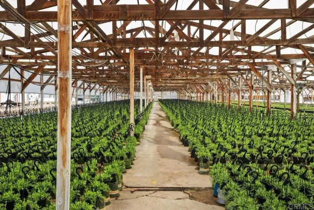 $589,900 | Cassou, San Marcos, CA 92069