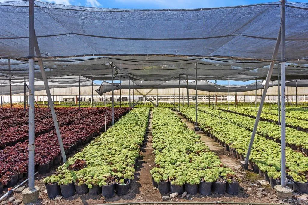 Cassou San Marcos, CA 92069 - Photo 4 of 15 a view of water heater room