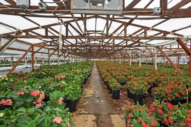 $589,900 | Cassou, San Marcos, CA 92069