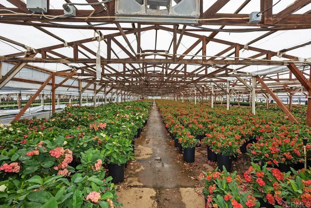 Cassou San Marcos, CA 92069 - Photo 8 of 15 a view of entryway with flower pots