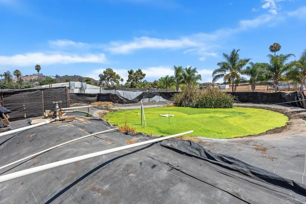 Cassou San Marcos, CA 92069 - Photo 10 of 15 a view of a swimming pool with a yard