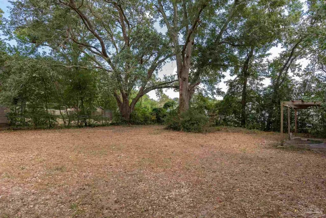 a white house that has a tree in front of it