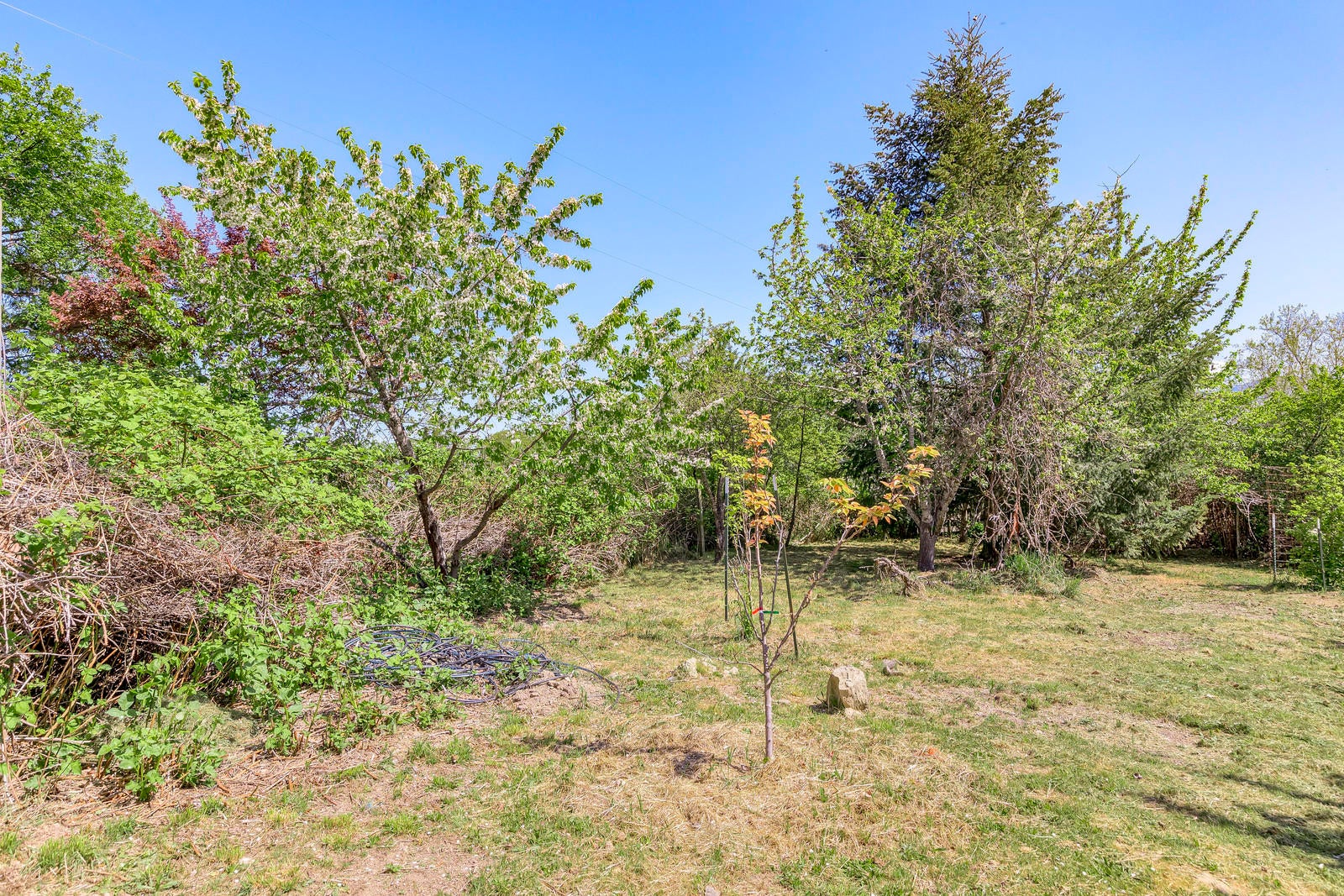 855 Holton Road Talent, OR 97540 - Photo 50 of 78 50