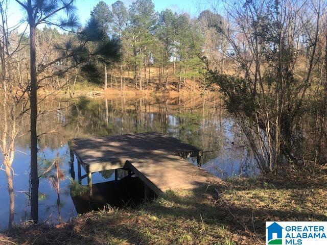 0 Shady Point Road, Unit 18 18 & 19 Locust Fork, AL 35097 - Photo 8 of 26