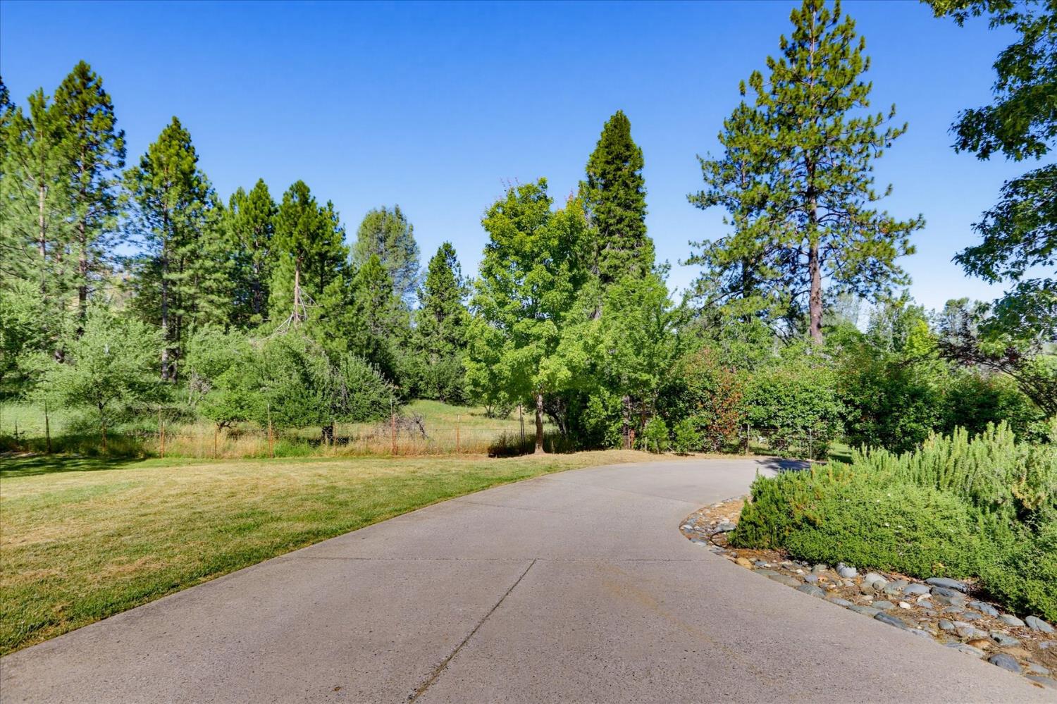 665 Gladycon Road Colfax, CA 95713 - Photo 33 of 57