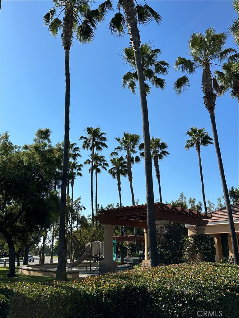 35 Del Cambrea Irvine, CA 92606 - Photo 15 of 21 a view of a garden with a tree