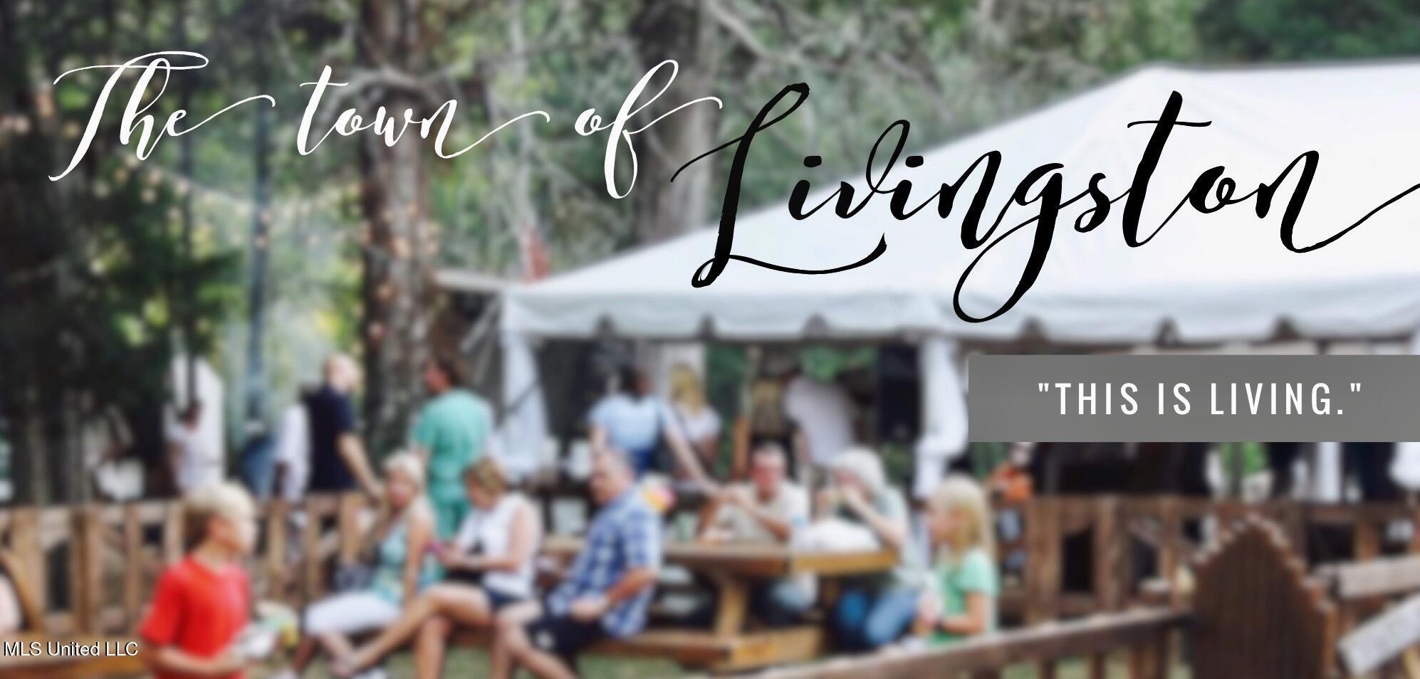 0 Hannahlea Place Flora, MS 39071 - Photo 6 of 23 livingstonpic040425