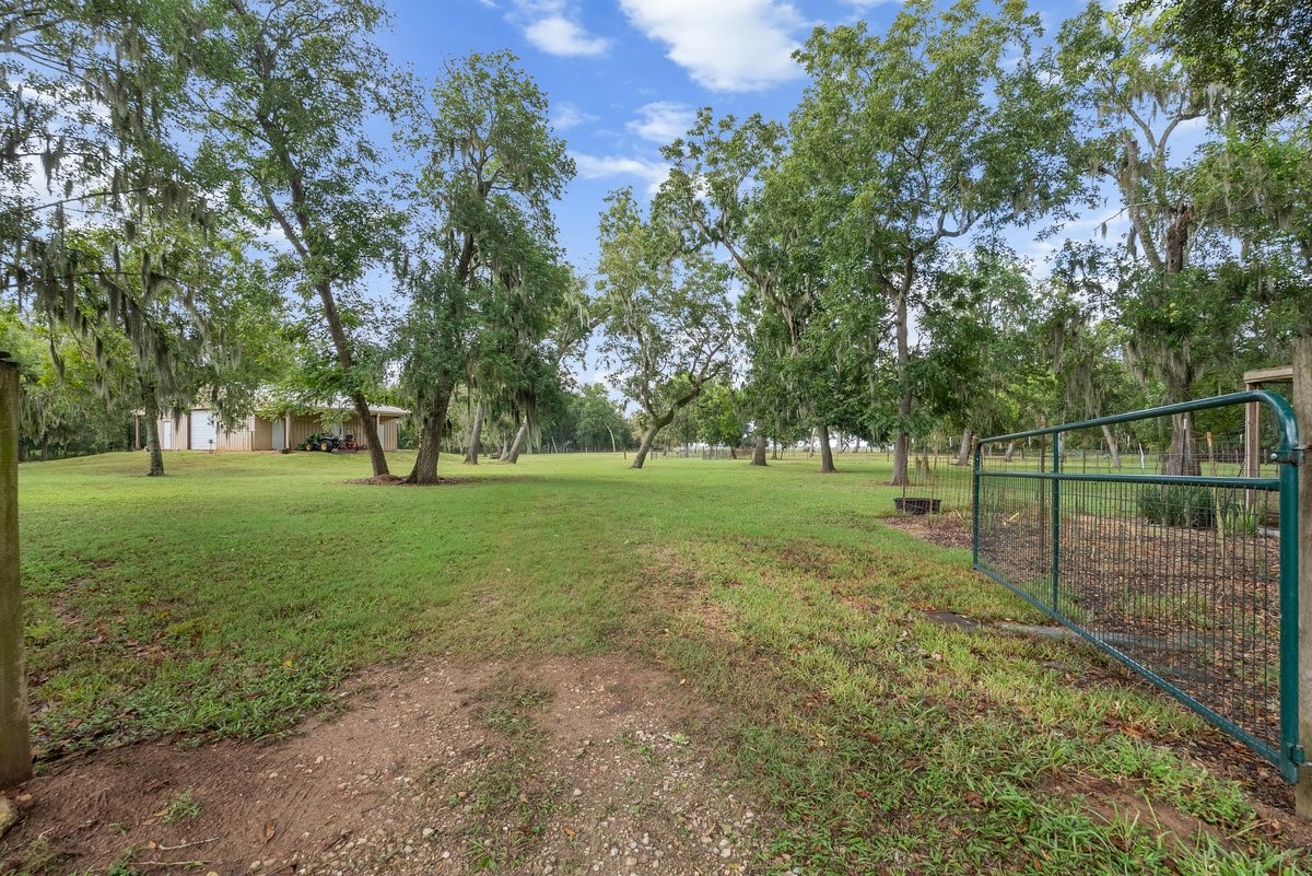 1303 China Grove Drive Rosharon, TX 77583 - Photo 35 of 42 Gallery Image 35