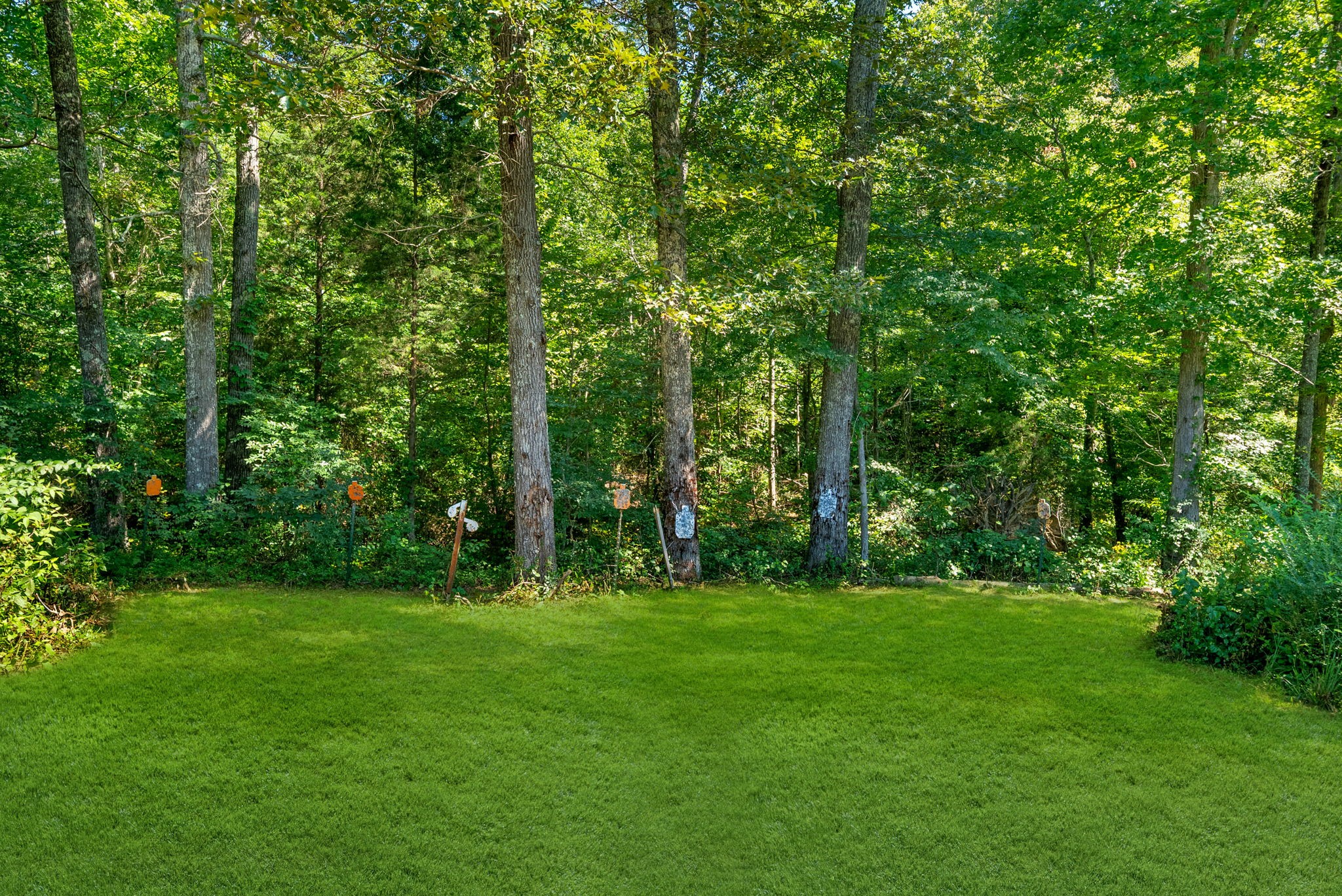 1387 Southside Road Southside, TN 37171 - Photo 67 of 80 Gallery Image 67