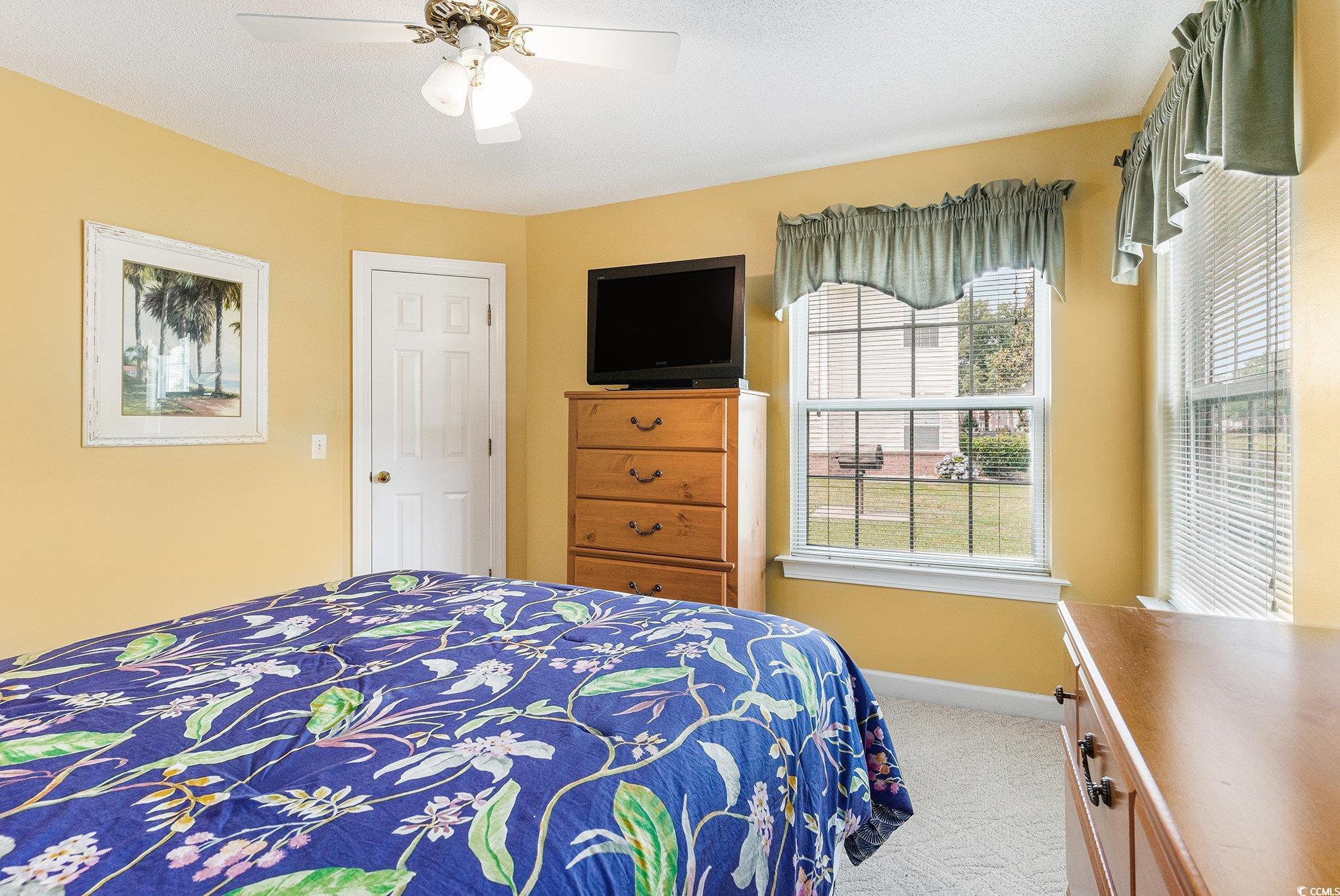 4280 Santolina Way, Unit C Murrells Inlet, SC 29576 - Photo 20 of 40 Carpeted bedroom featuring multiple windows, baseboards, and a ceiling fan