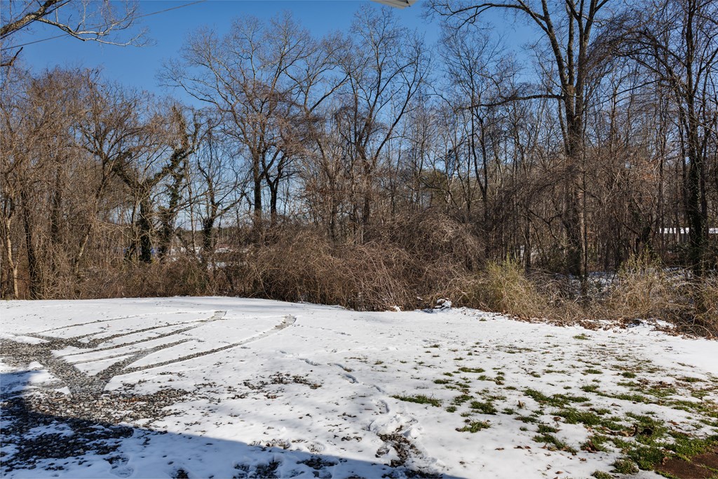 125 Jones Street Blue Ridge, GA 30513 - Photo 22 of 25