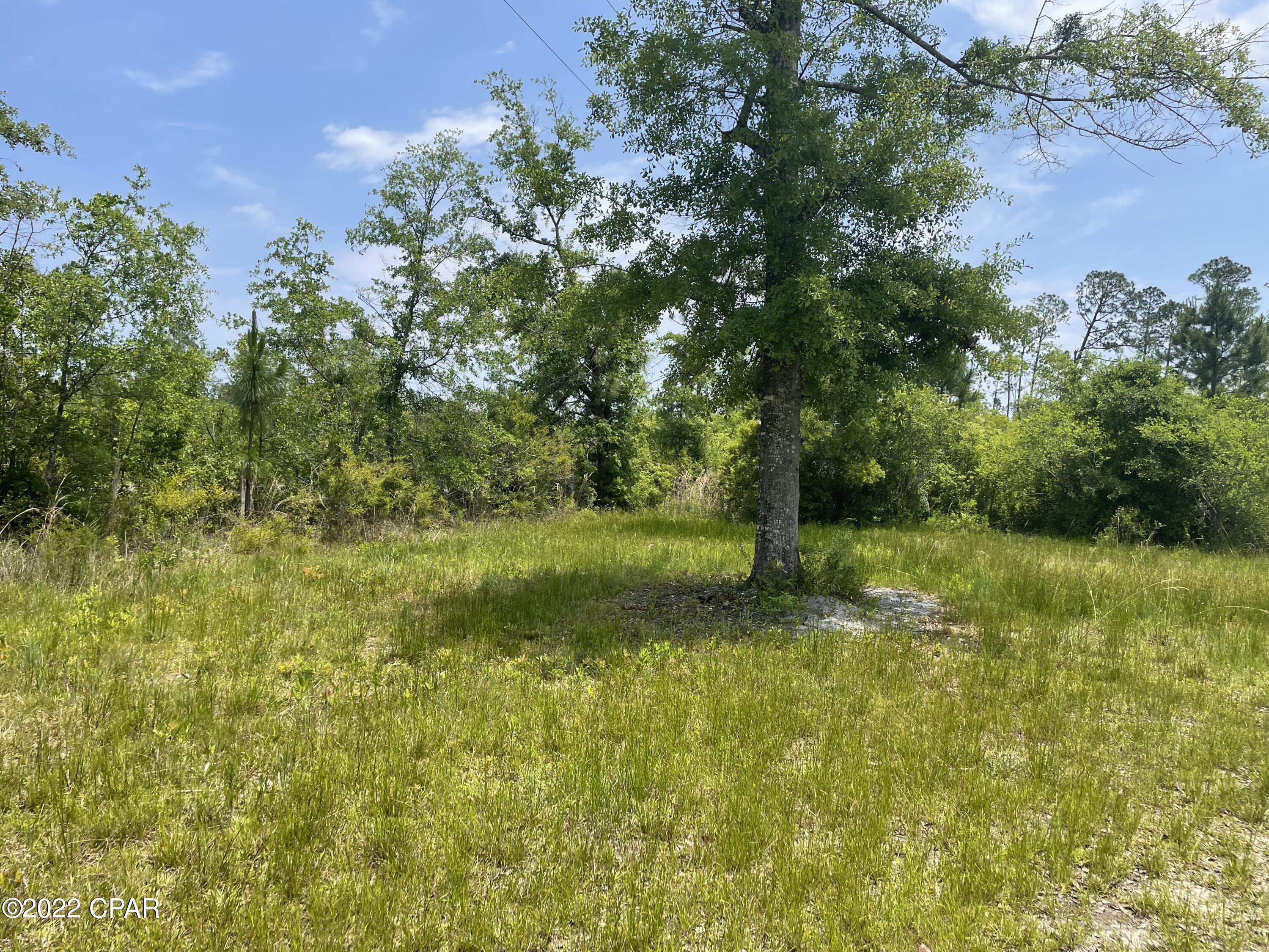 12306 Webber Road Fountain, FL 32438 - Photo 5 of 8 Gallery Image 5