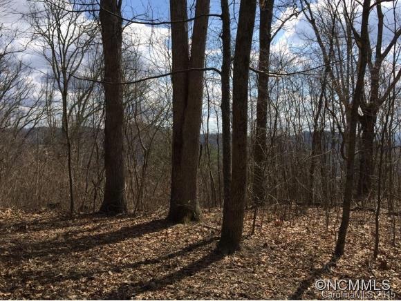 Tbd Rambling Ridge Road, Unit LOT 9 Asheville, NC 28804 - Photo 2 of 12 Gallery Image 2