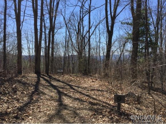 Tbd Rambling Ridge Road, Unit LOT 9 Asheville, NC 28804 - Photo 11 of 12 Gallery Image 11