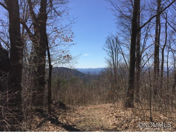 Tbd Rambling Ridge Road, Unit LOT 9 Asheville, NC 28804 - Photo 12 of 12 Gallery Image 12