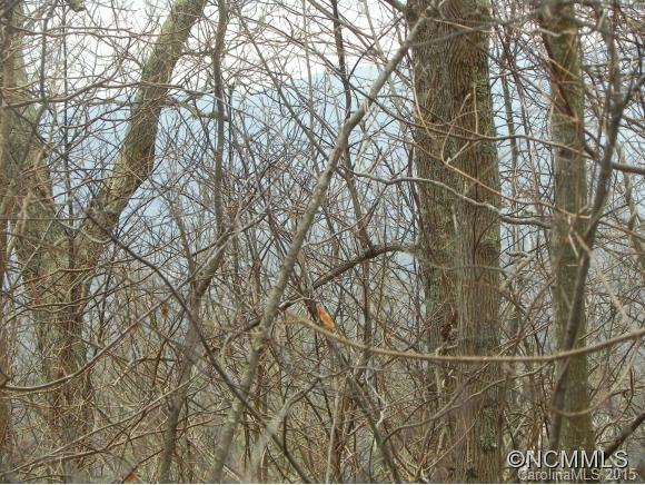 Tbd Rambling Ridge Road, Unit LOT 9 Asheville, NC 28804 - Photo 4 of 12 Gallery Image 4