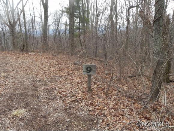 Tbd Rambling Ridge Road, Unit LOT 9 Asheville, NC 28804 - Photo 5 of 12 Gallery Image 5