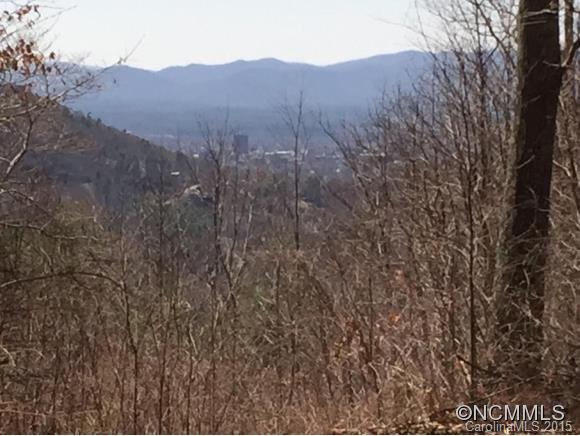 Tbd Rambling Ridge Road, Unit LOT 9 Asheville, NC 28804 - Photo 10 of 12 Gallery Image 10
