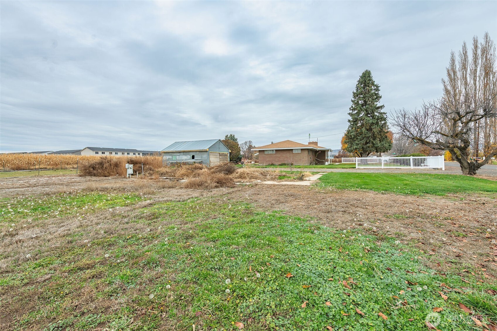 10586 P 2 Quincy, WA 98848 - Photo 18 of 20 a view of a big yard with large trees