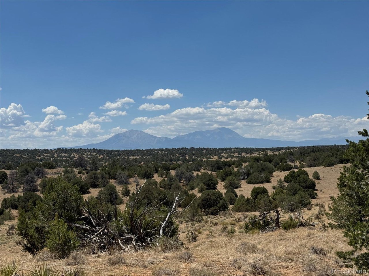 Twin Lakes Ranch Walsenburg, CO 81089 - Photo 11 of 11 Gallery Image 11