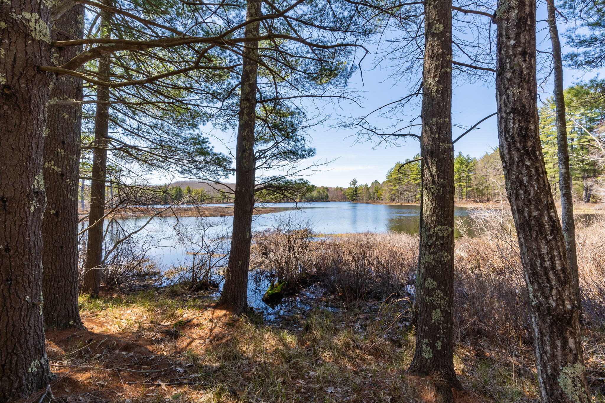 34 Roberts Pond Road Lyman, ME 04002 - Photo 2 of 63 34RobertsPond-80