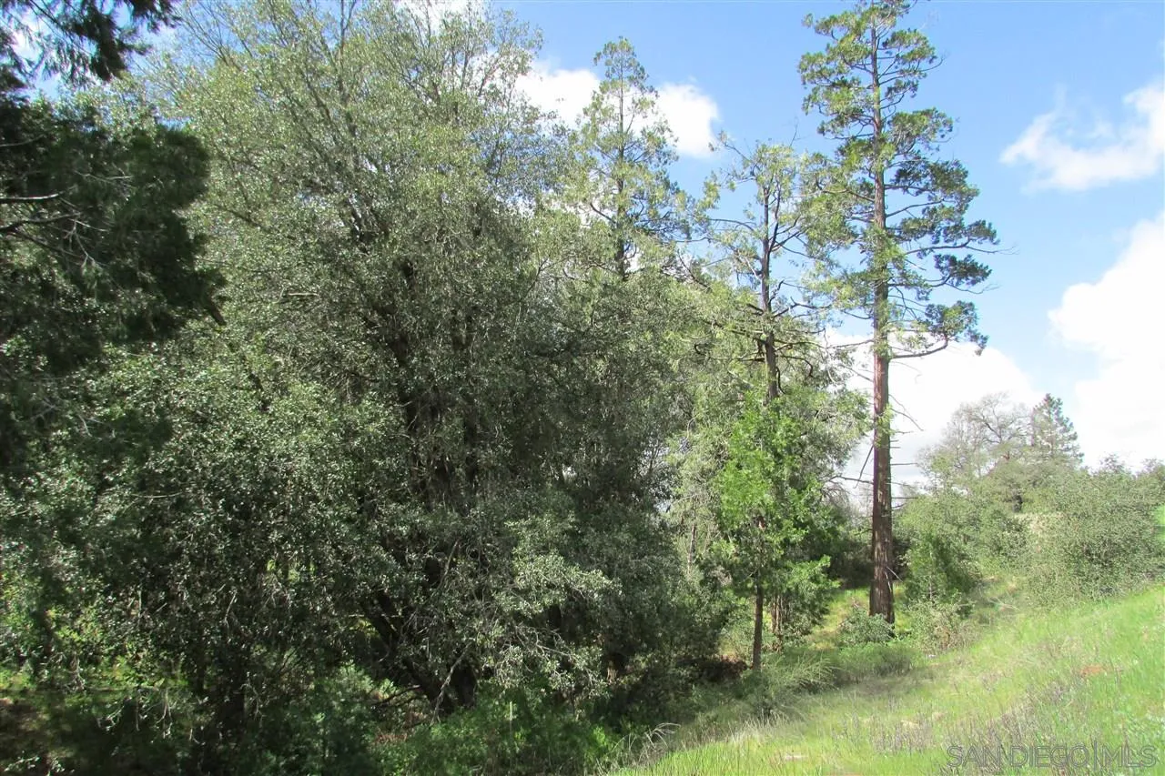 919 West Incense Cedar Road, Unit 39 Julian, CA 92036 - Photo 6 of 12 Gallery Image 6