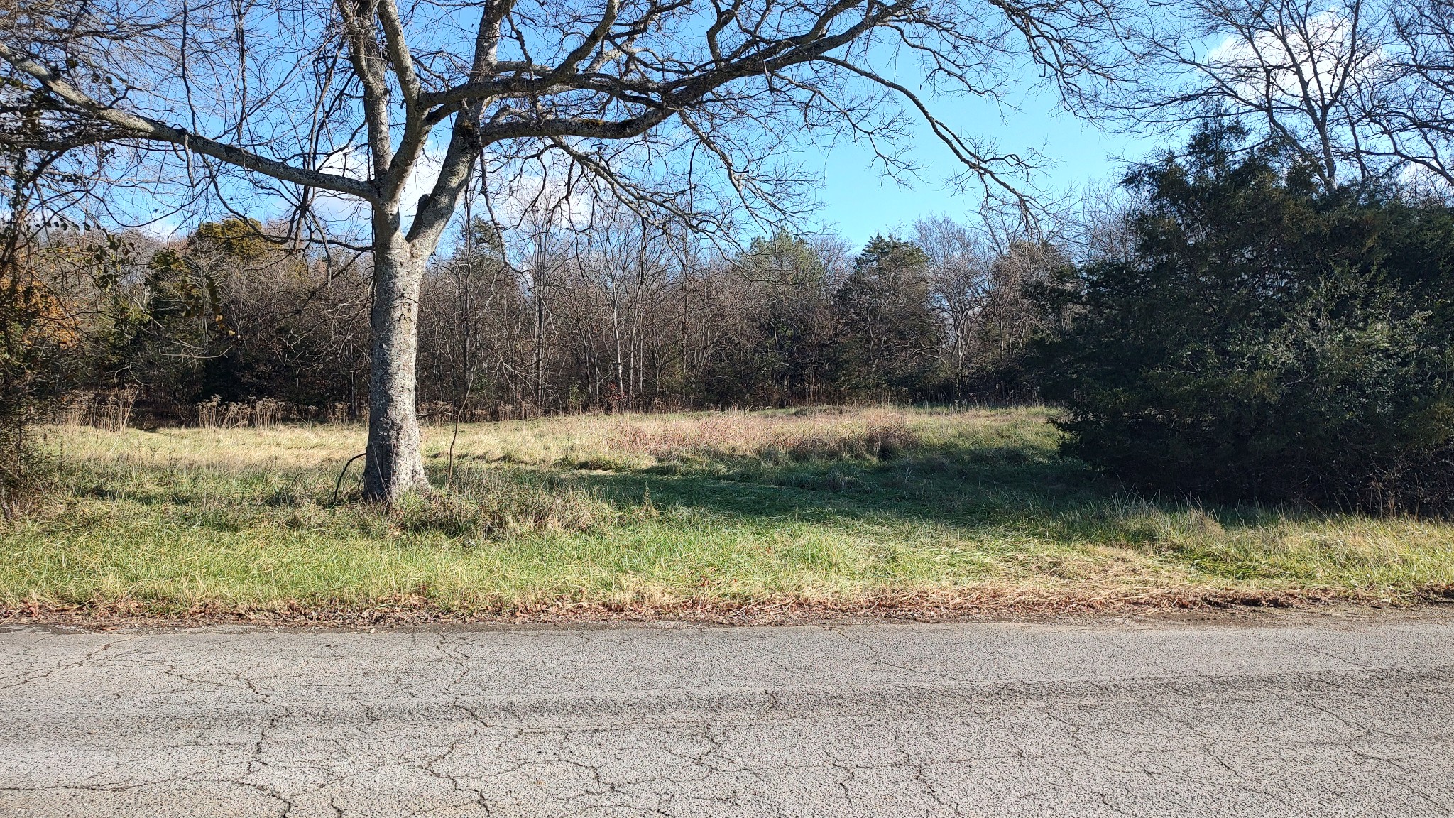 2317 Rick Hight Road Columbia, TN 38401 - Photo 3 of 16 Gallery Image 3