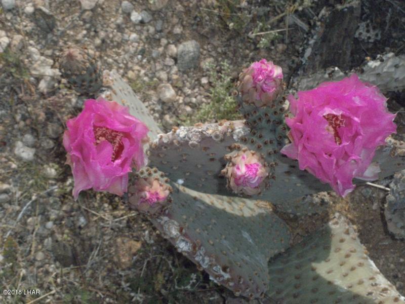 415 South Tom Mix Road Yucca, AZ 86438 - Photo 15 of 17 114