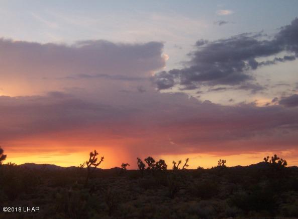 415 South Tom Mix Road Yucca, AZ 86438 - Photo 16 of 17 mountains 006