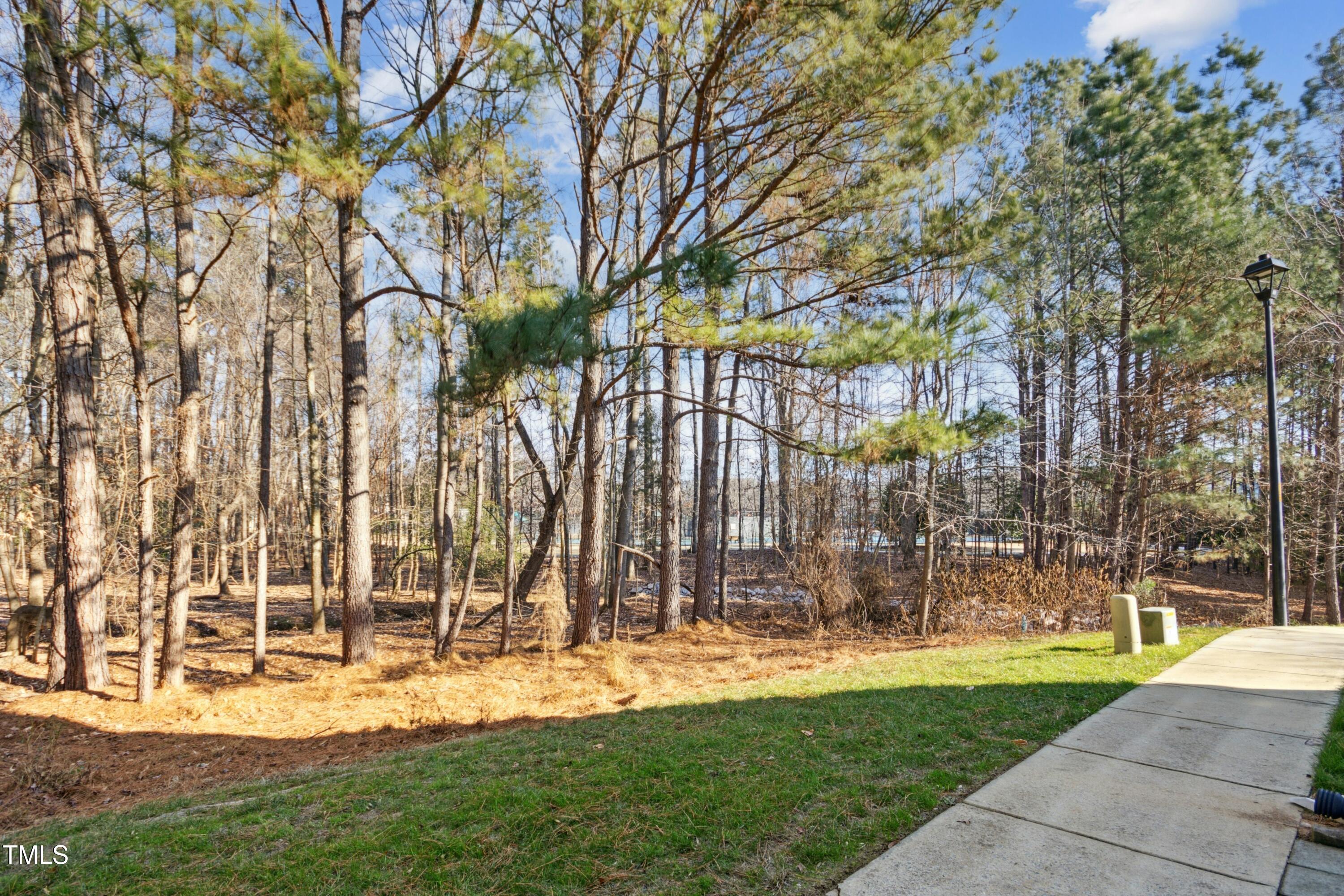 2225 Raven Road, Unit 107 Raleigh, NC 27614 - Photo 33 of 35 a view of a park with large trees