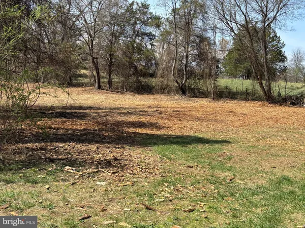 a backyard of a house with large trees