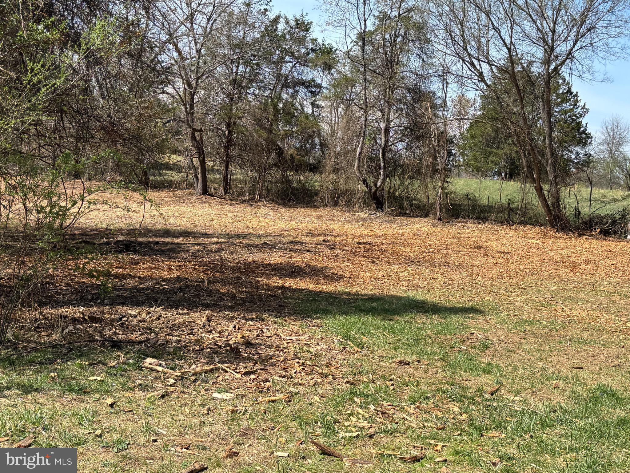 2502 Holly Springs Road Amissville, VA 20106 - Photo 50 of 52 a backyard of a house with large trees