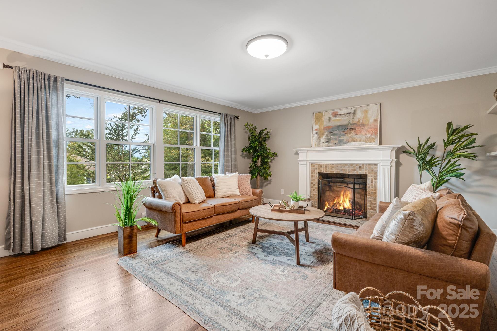 19 Albemarle Road Asheville, NC 28801 - Photo 9 of 32