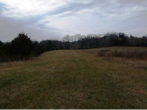 Lot 9 Poplar Springs Road, Unit 9 Greeneville, TN 37743 - Photo 3 of 6 Photo 3