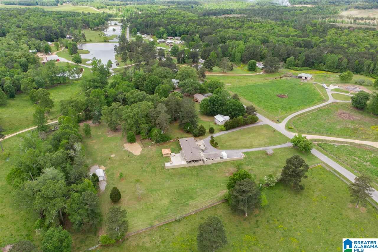 7770 Dry Creek Road Pell City, AL 35128 - Photo 45 of 49