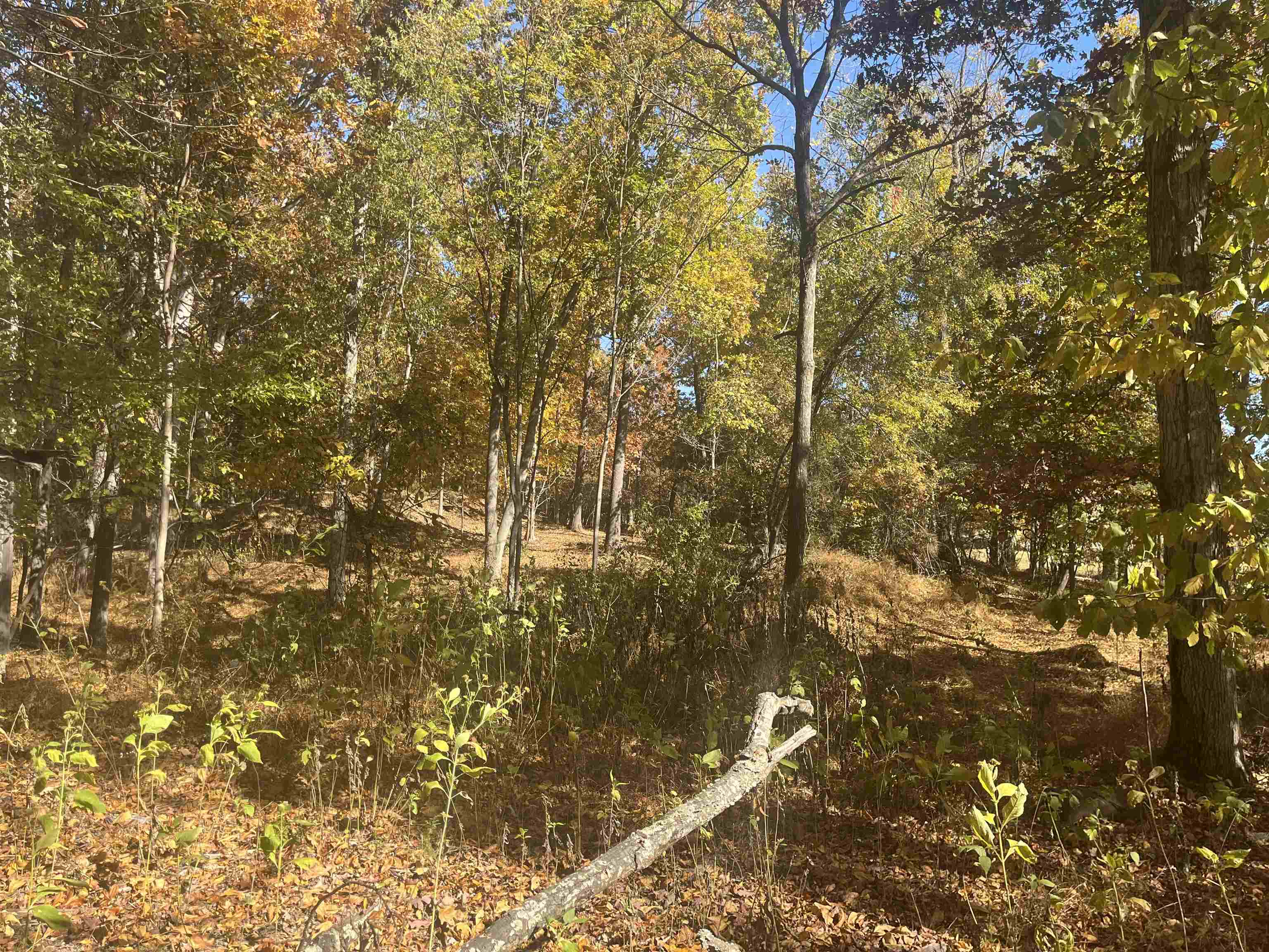 Tbd Bald Rock Road Verona, VA 24482 - Photo 6 of 18 Gallery Image 6
