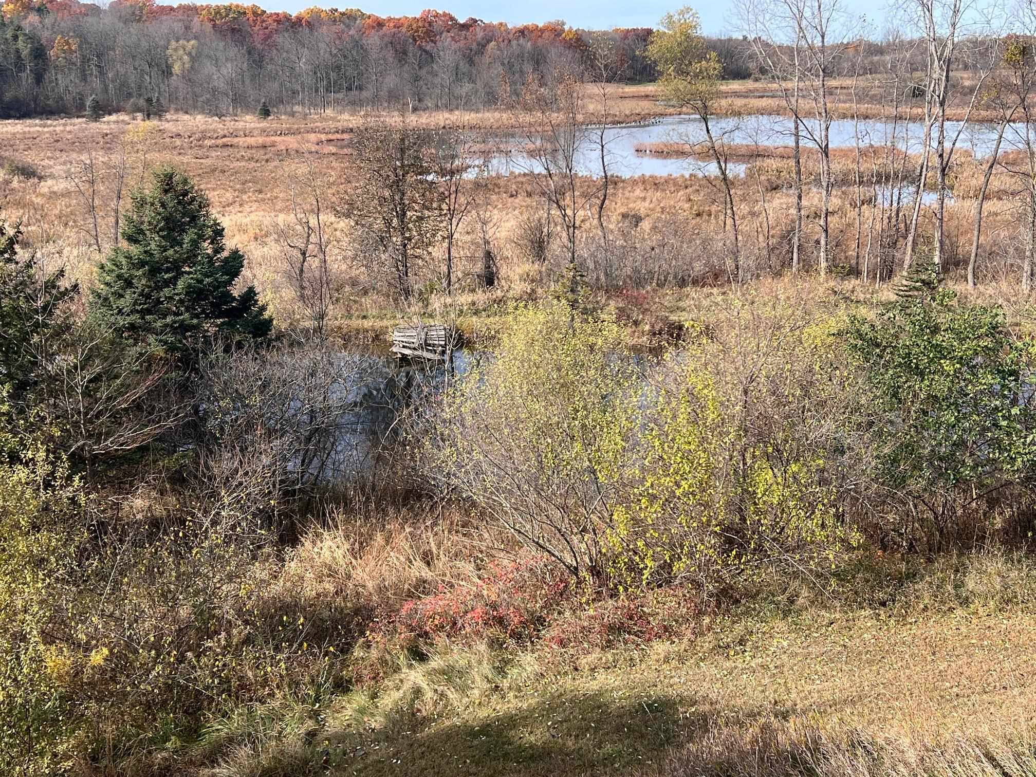 10008 Highway 52 Perry, MI 48872 - Photo 38 of 49