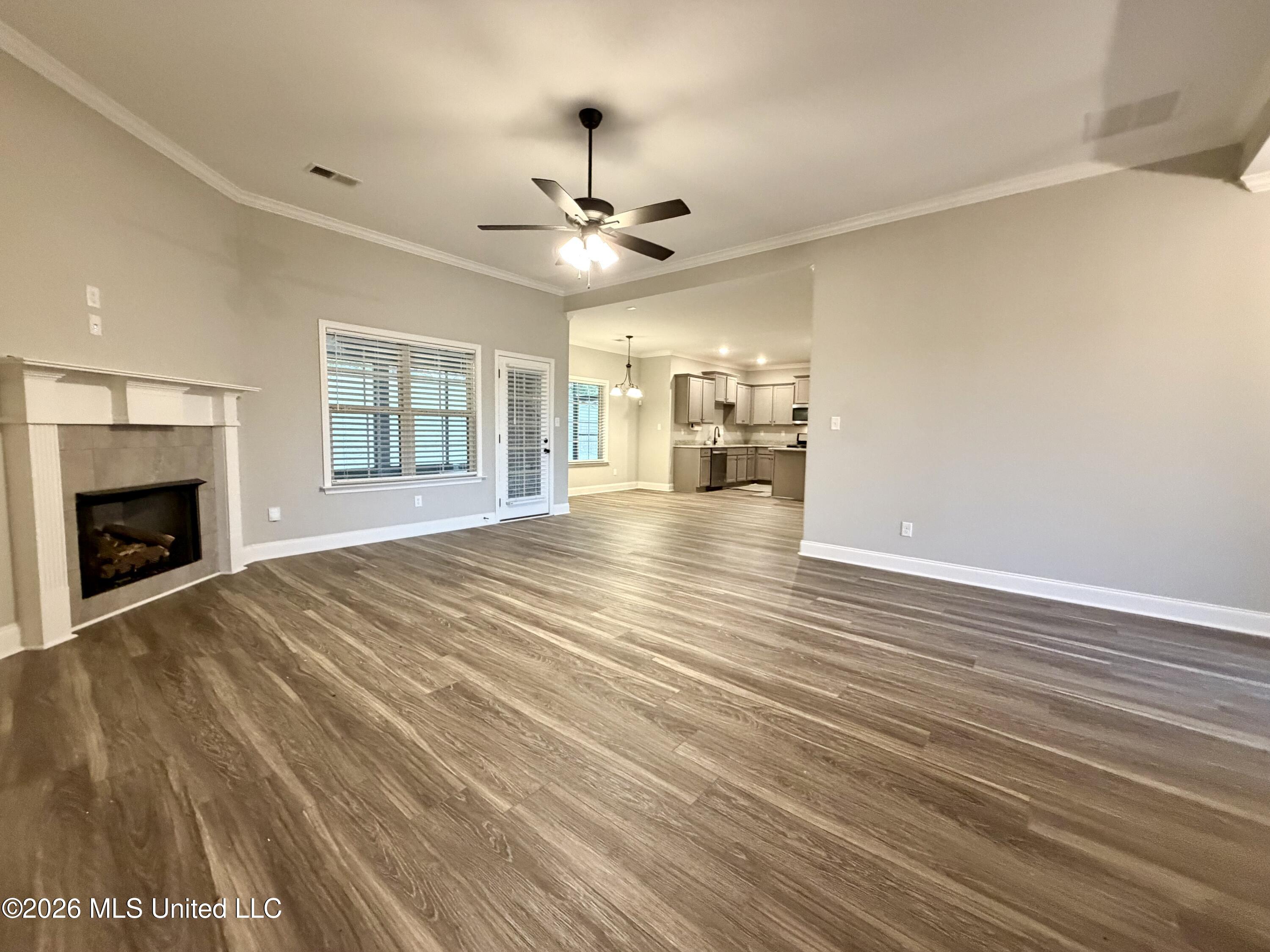 668 Millers Way Nesbit, MS 38651 - Photo 3 of 22 IMG_0268