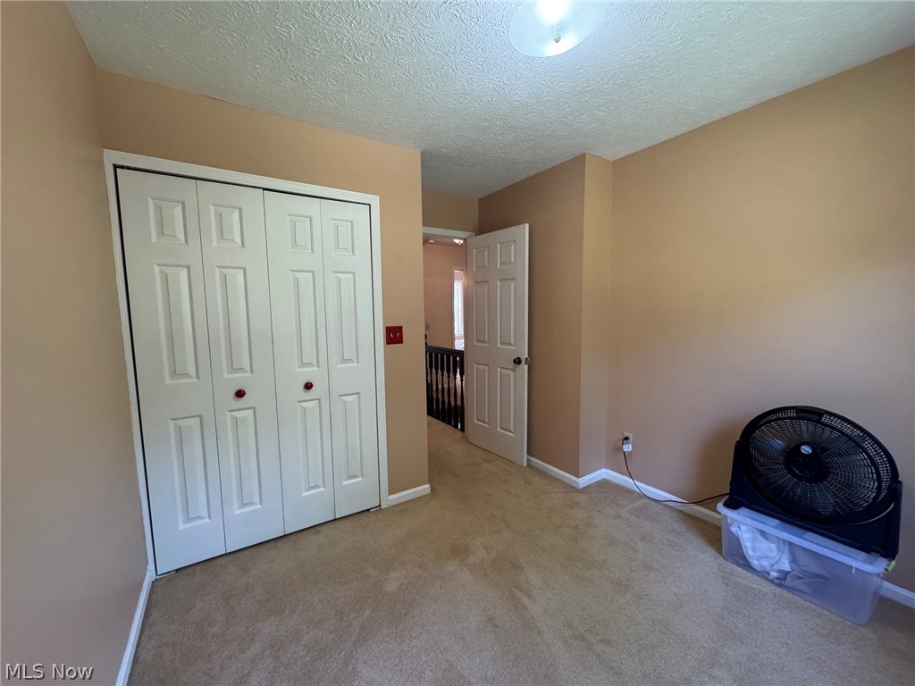 8201 Orchard Road Painesville, OH 44077 - Photo 32 of 45 Interior room with carpet flooring, light tan wall paint, and a white bi-fold closet door