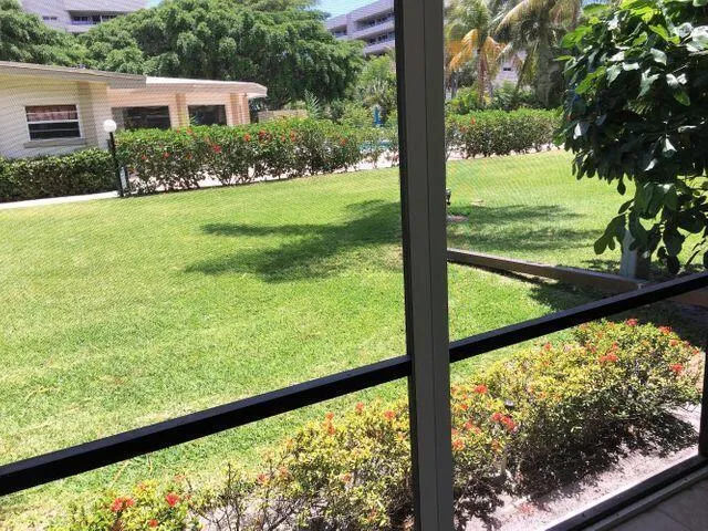 a view of a garden from a window