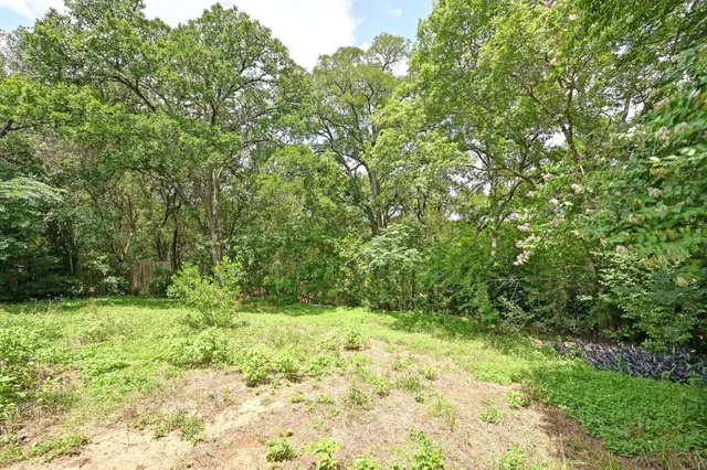 a backyard of a house with plants and tree