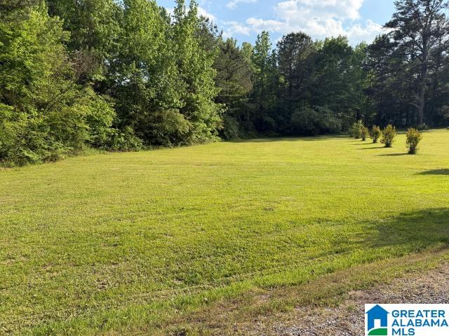 5305 Empire Road Empire, AL 35063 - Photo 7 of 35