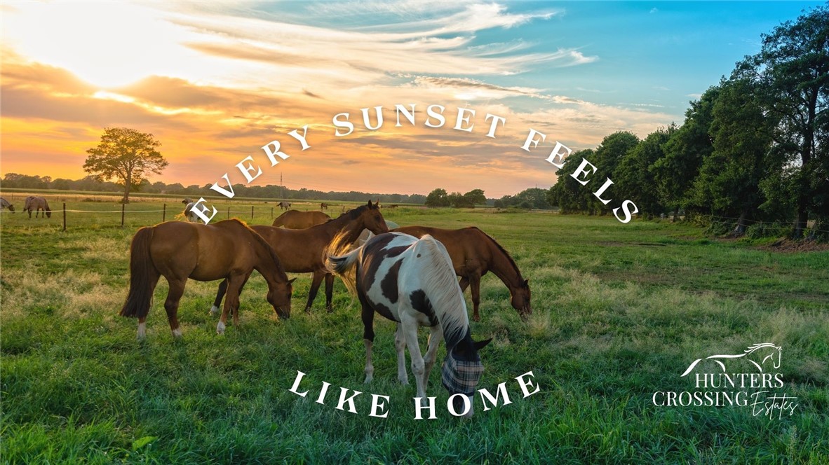 a view of a back yard