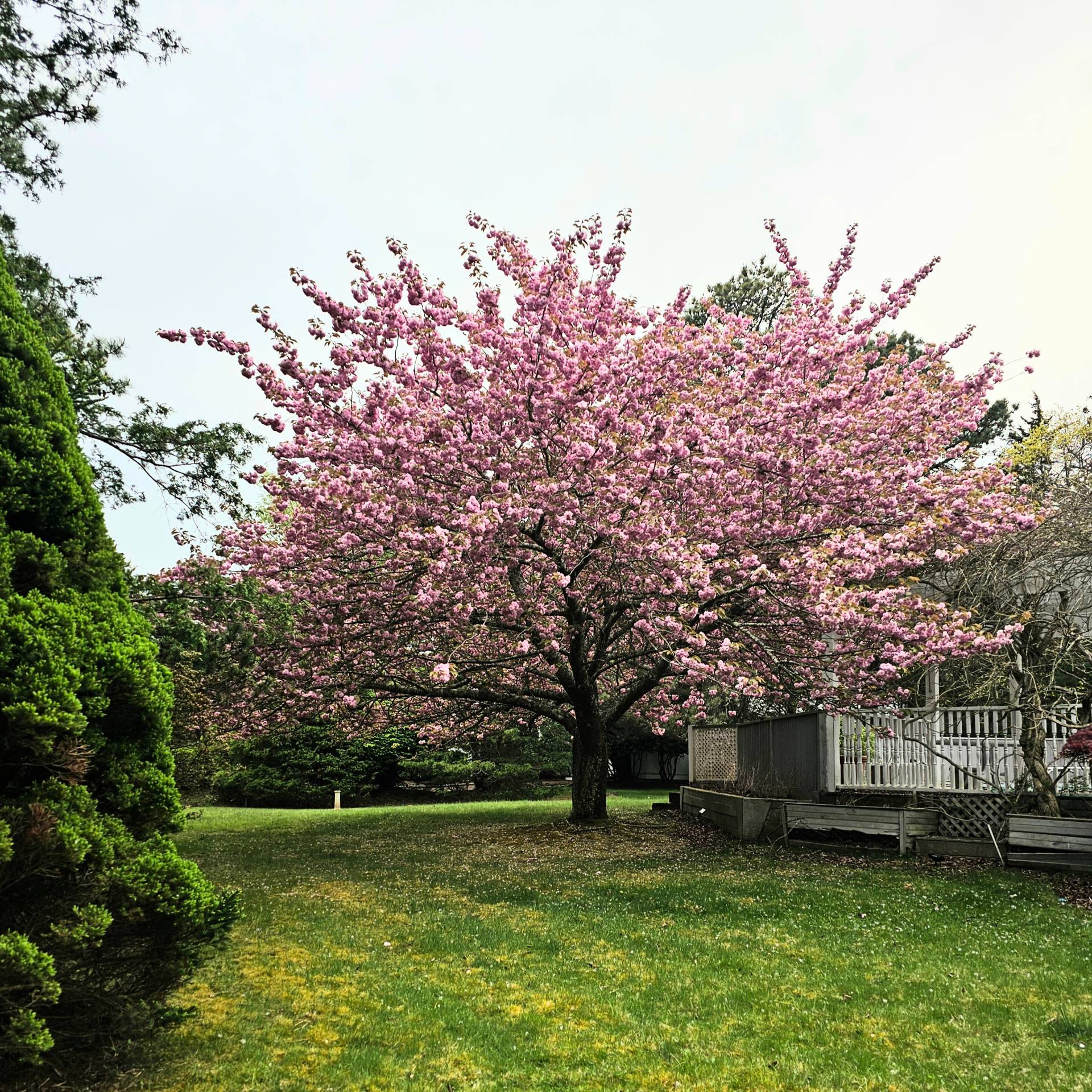 8 Fiddler Crab Trail Westhampton, NY 11977 - Photo 40 of 43 a view of a house with a yard